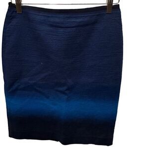 Ann Taylor Loft Ombre Pencil Skirt Woman’s size 4